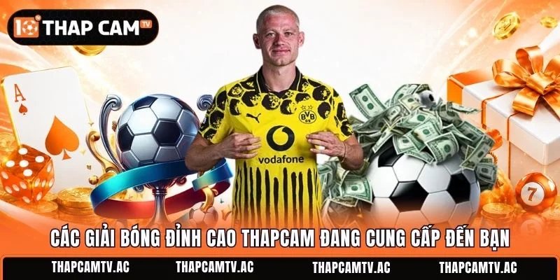 Các giải bóng đỉnh cao Thapcam đang cung cấp đến bạn