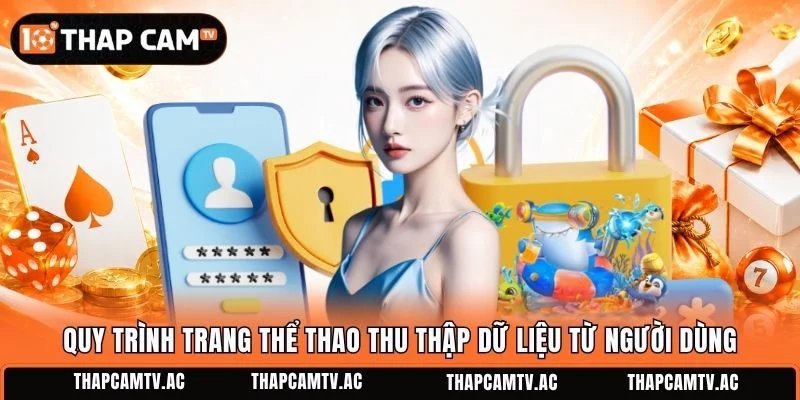 Quy trình trang thể thao thu thập dữ liệu từ người dùng