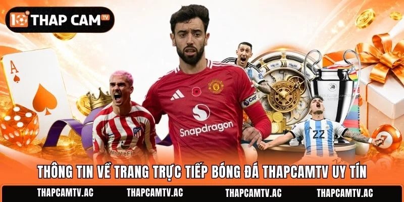Thông tin về trang trực tiếp bóng đá ThapcamTV uy tín